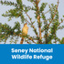Seney National Wildlife Refuge Sightings icon