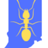 Ants of Indiana icon