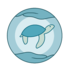 Tortugas a la vista: tortugas marinas de la Península de Yucatán icon