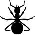 Ants of North America icon