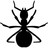 Ants of North America icon