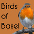 Birds of Basel icon