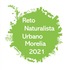 Reto Naturalista Urbano 2021: Morelia, Michoacán icon