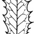 Ilex in den Bayerischen Voralpen icon