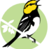 Austin Bird-Building Collisions icon