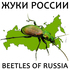 Жуки (Coleoptera) России / Beetles (Coleoptera) of Russia icon