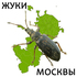Жуки (Coleoptera) Москвы icon