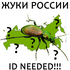 Жуки (Coleoptera) России. Need ID icon