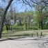 Hines Park (Dallas Park) icon