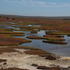 West Coast National Park icon