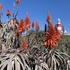 Agulhas National Park icon
