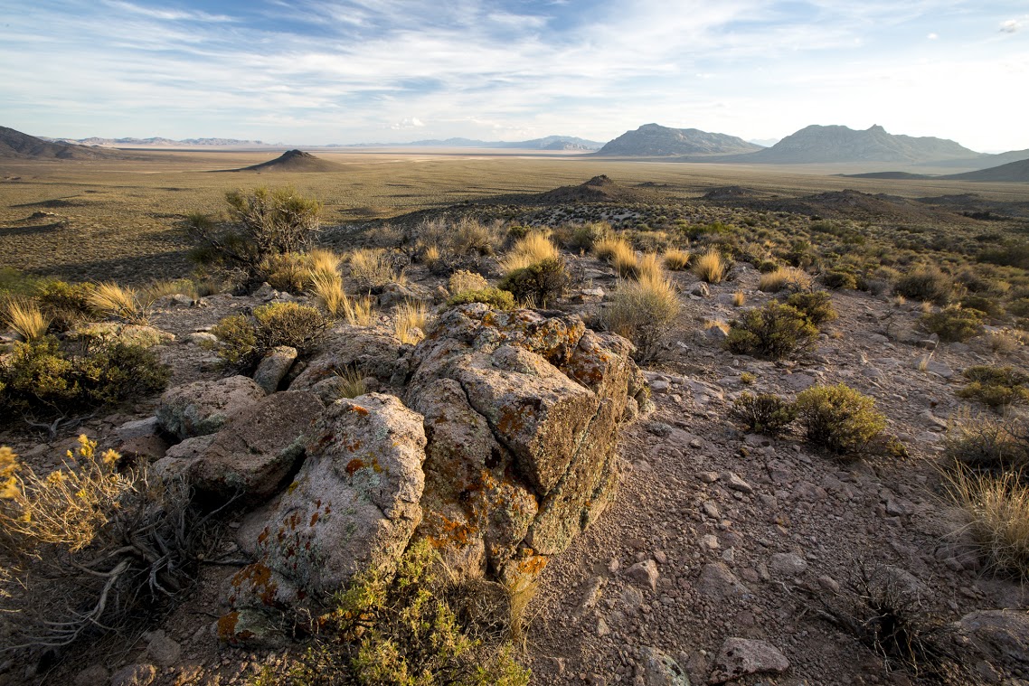 Basin And Range National Monument Bioblitz 2021 · Inaturalist