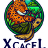 Xcacel Xcacelito y su Biodiversidad icon