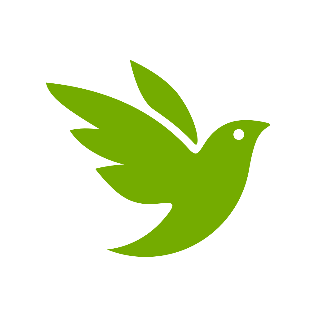 iNaturalist Discord Server Guide for Participants — Dronefly