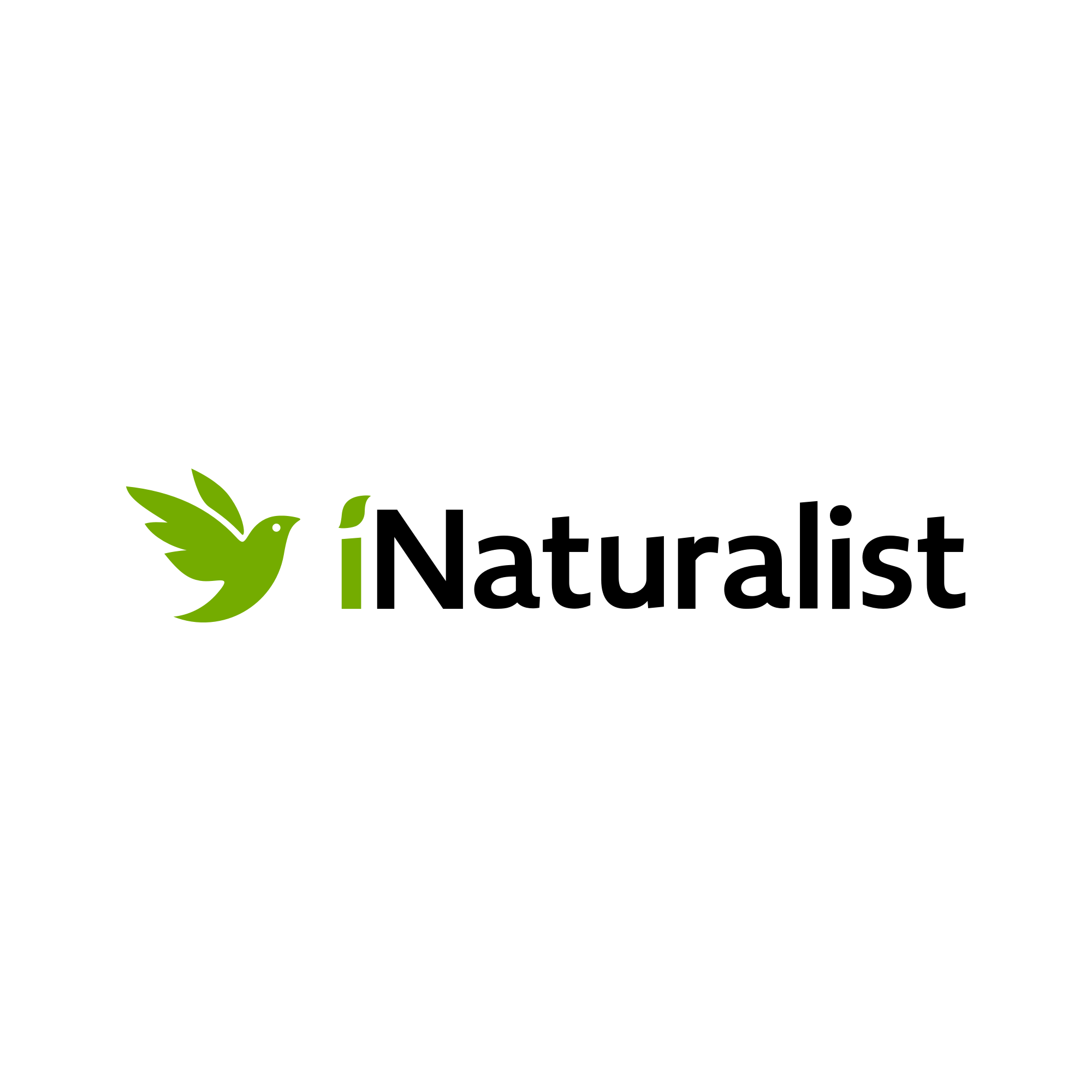 iNaturalist Discord Server Guide for Participants — Dronefly