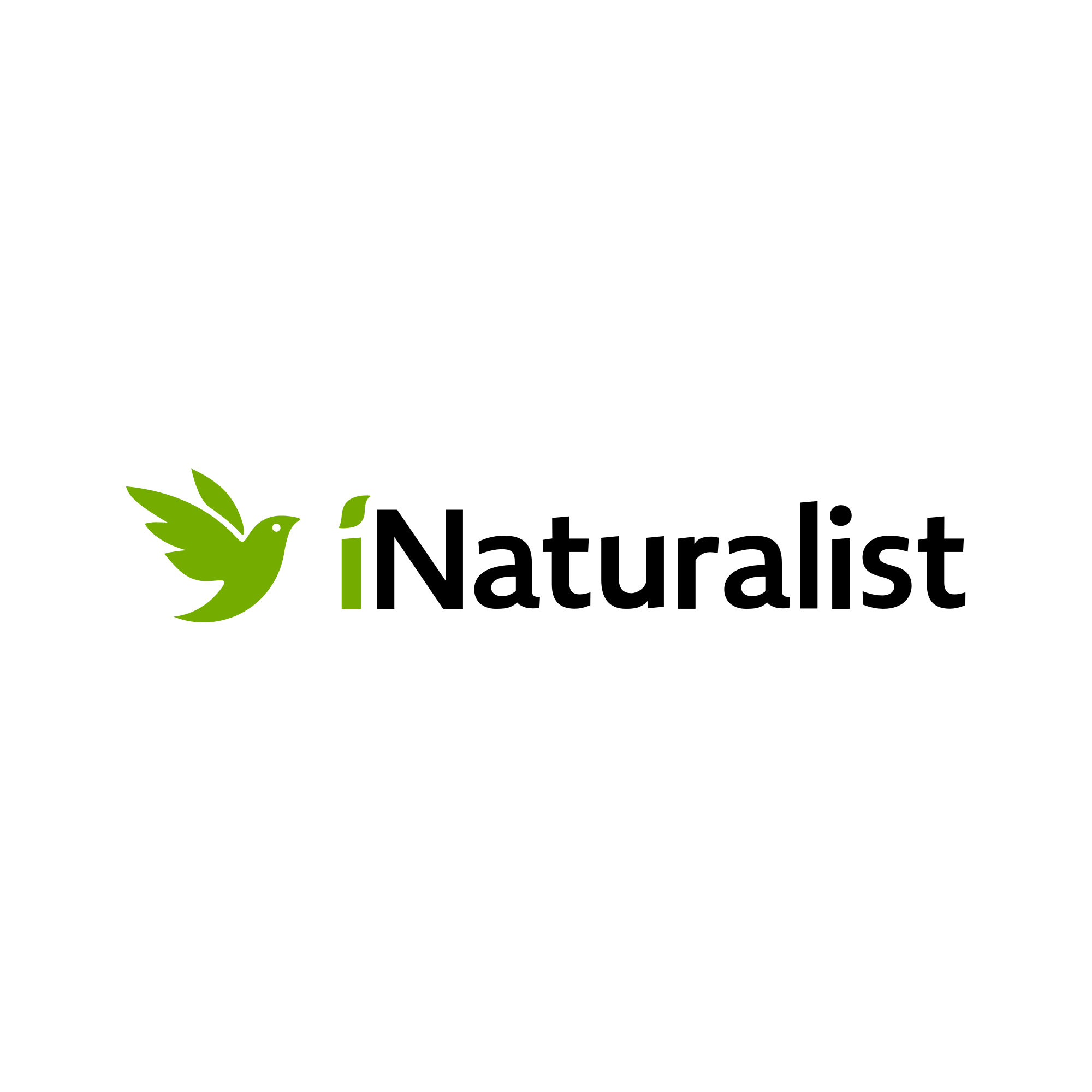  iNaturalist 