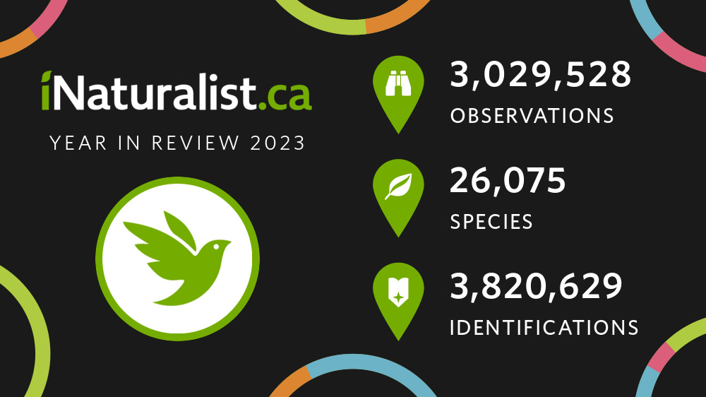 iNaturalist Canada's 2023 Year in Review · iNaturalist Canada